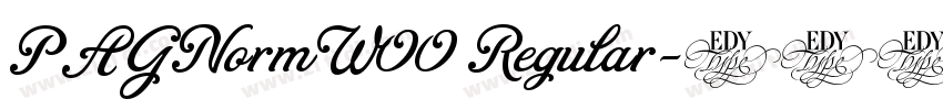 PAG Norm W00 Regular字体转换